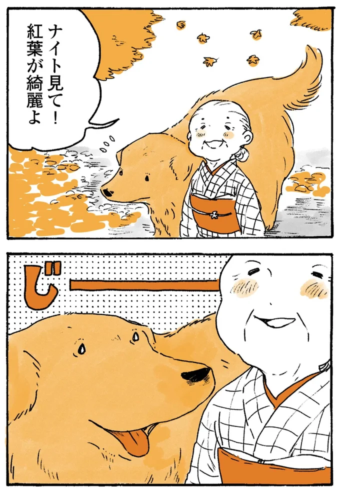 紅葉が綺麗よ