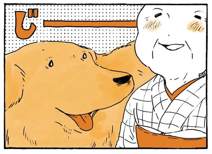 紅葉や鳥には目もくれず。レトリバーの視線は姫ばあちゃん一直線