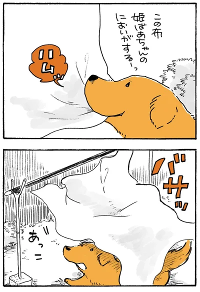 バサッ