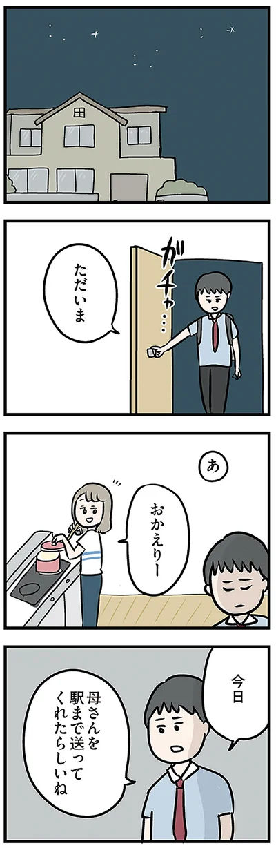 母さんを駅まで送ってくれたらしいね