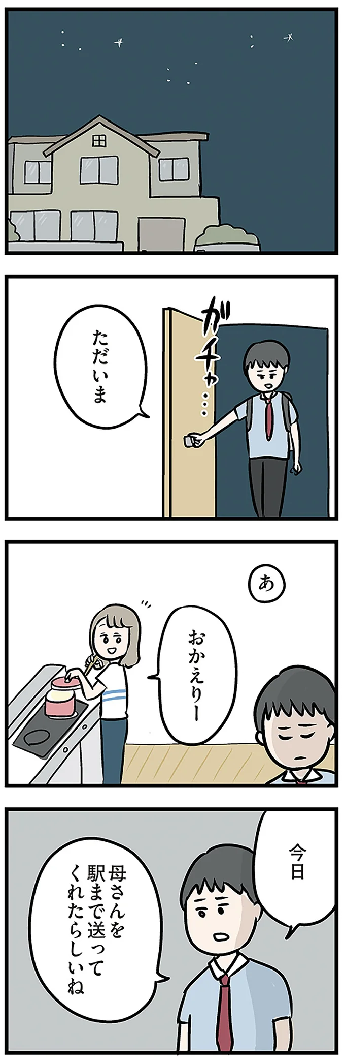 母さんを駅まで送ってくれたらしいね