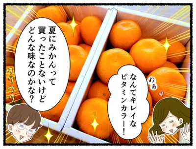 まるで宝箱！甘さとみずみずしさに感動した、夏に食べる「ハウスみかん」の魅力