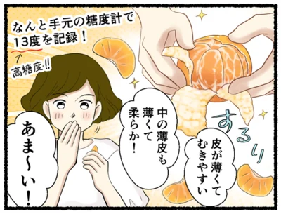 なんと手元の糖度計で13度を記録！
