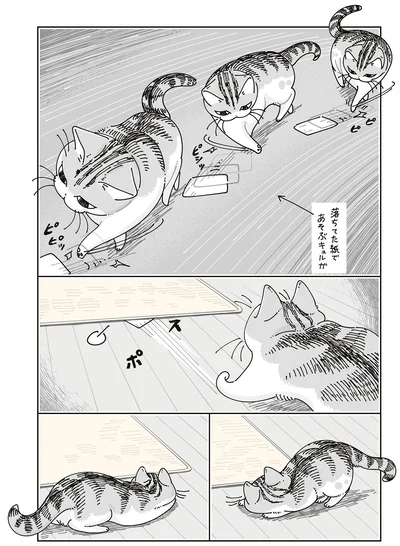 落ちてた紙で…