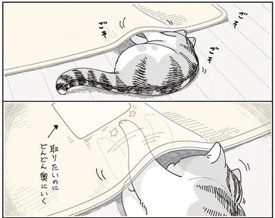 取りたいのに