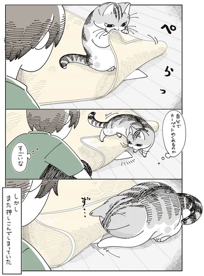 また押しこんでしまっていた