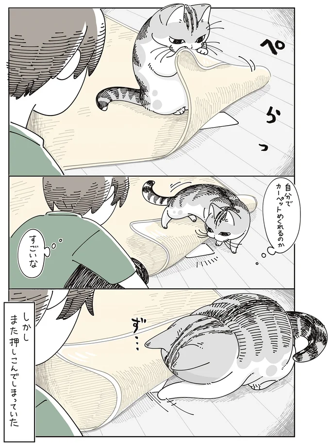 また押しこんでしまっていた