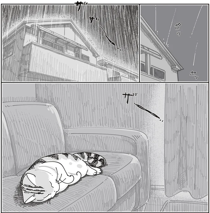 『夜は猫といっしょ9』より
