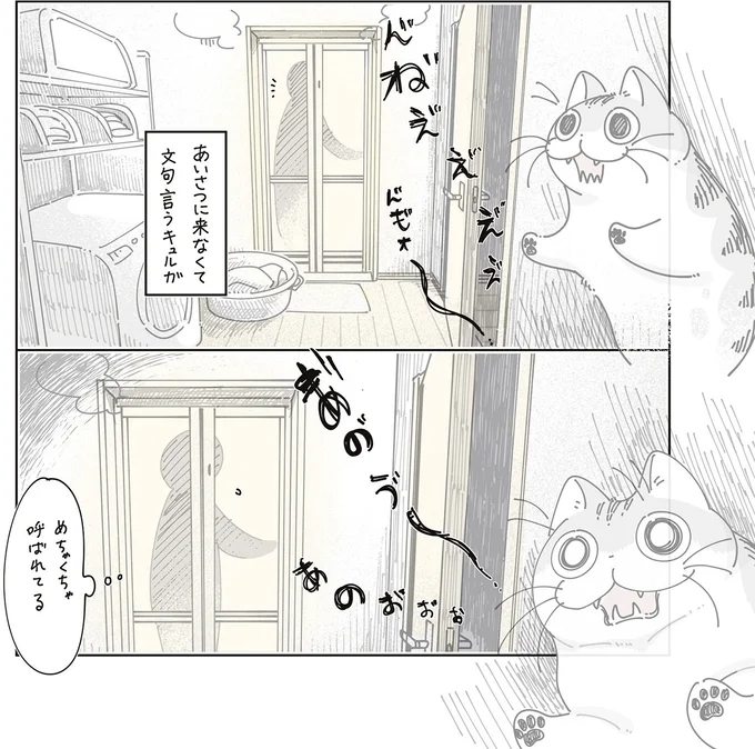 『夜は猫といっしょ9』より