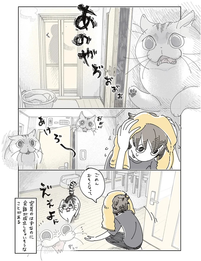 『夜は猫といっしょ9』より