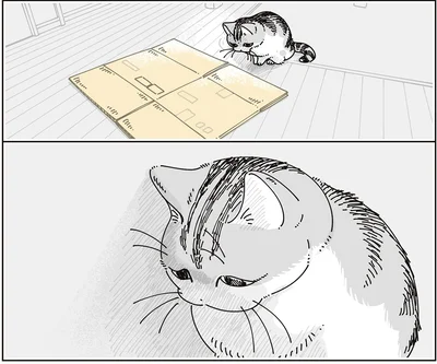 『夜は猫といっしょ9』より
