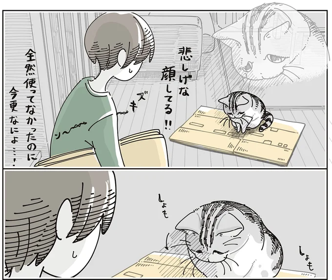 『夜は猫といっしょ9』より