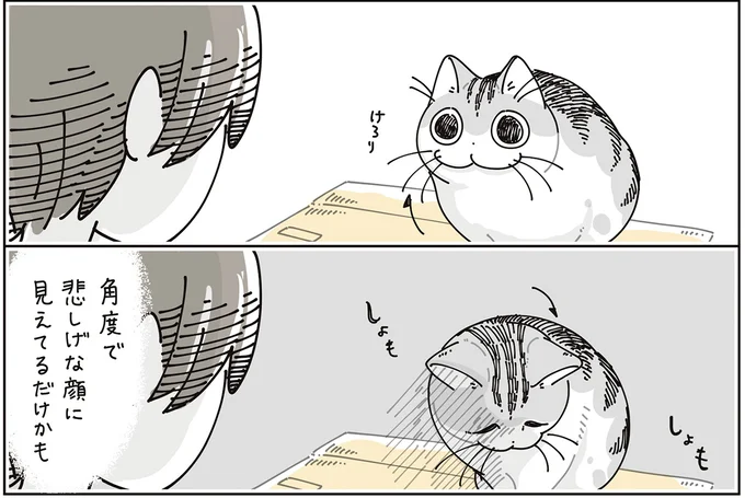 『夜は猫といっしょ9』より