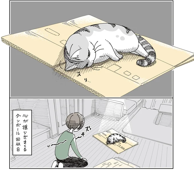 『夜は猫といっしょ9』より