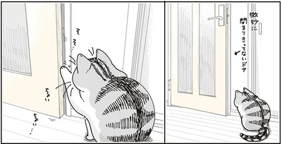 『夜は猫といっしょ9』より