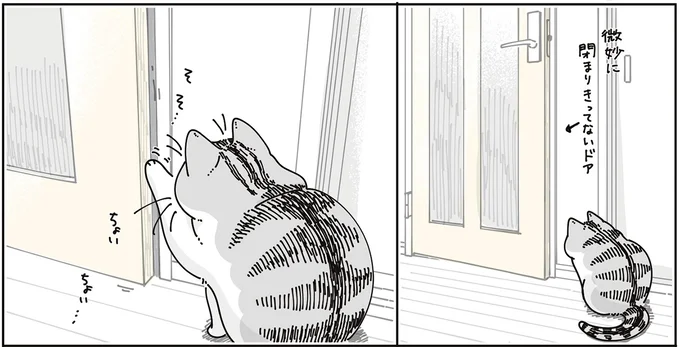 『夜は猫といっしょ9』より
