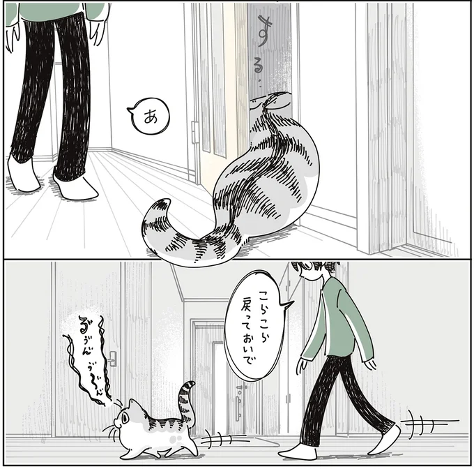 『夜は猫といっしょ9』より