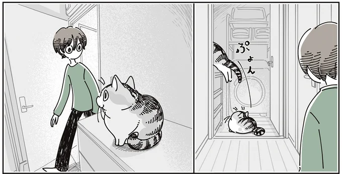 『夜は猫といっしょ9』より