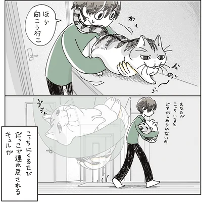 『夜は猫といっしょ9』より