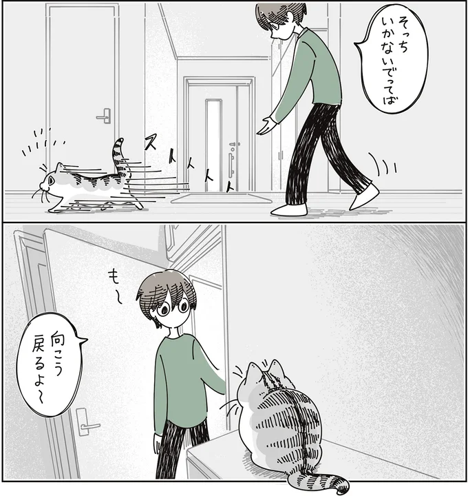 『夜は猫といっしょ9』より
