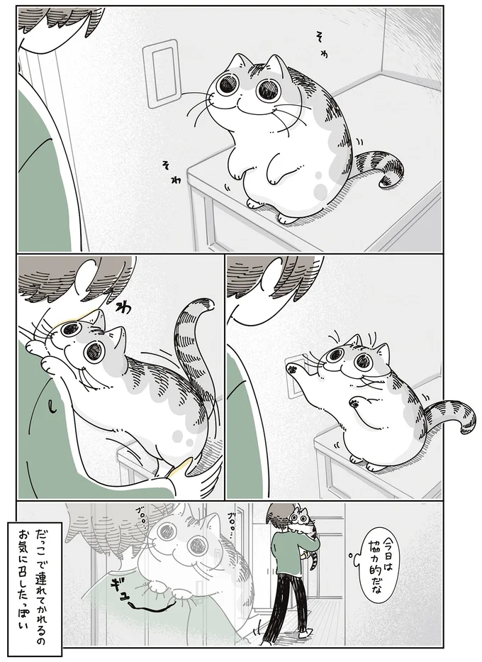『夜は猫といっしょ9』より