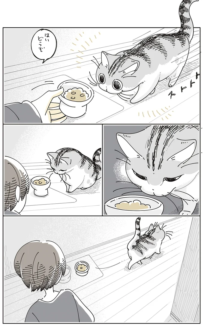 『夜は猫といっしょ9』より