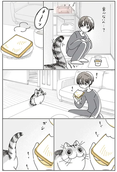 『夜は猫といっしょ9』より