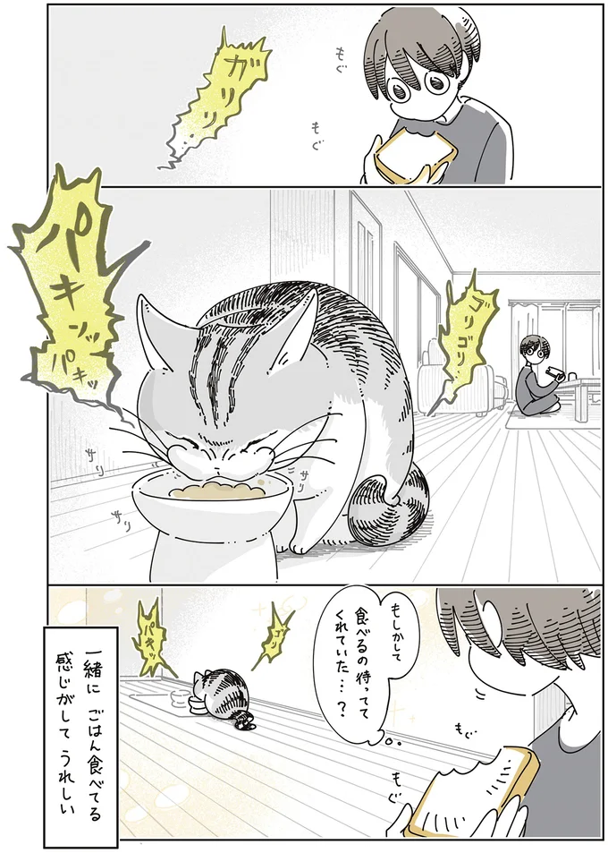 『夜は猫といっしょ9』より
