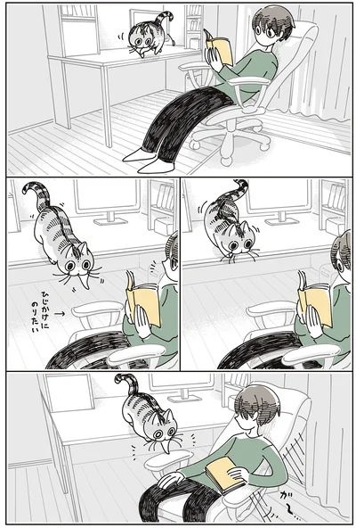 『夜は猫といっしょ9』より