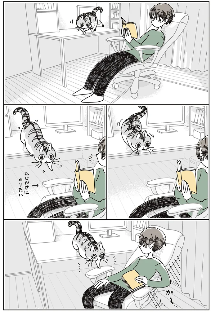 『夜は猫といっしょ9』より