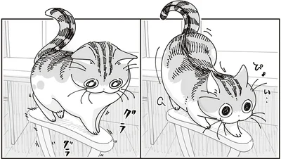 『夜は猫といっしょ9』より