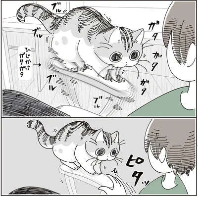 『夜は猫といっしょ9』より