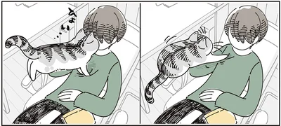 『夜は猫といっしょ9』より