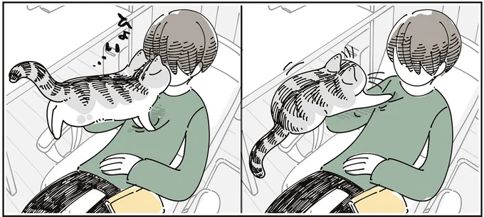 『夜は猫といっしょ9』より