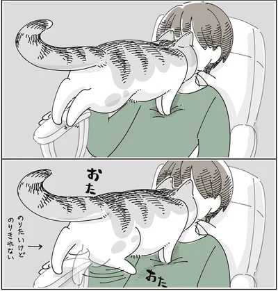 『夜は猫といっしょ9』より