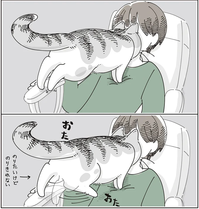 『夜は猫といっしょ9』より
