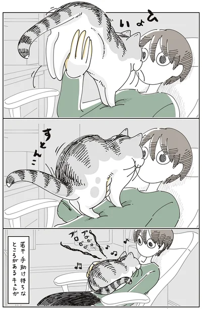 『夜は猫といっしょ9』より