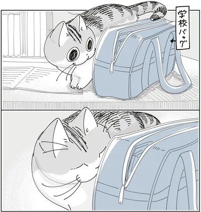 『夜は猫といっしょ9』より