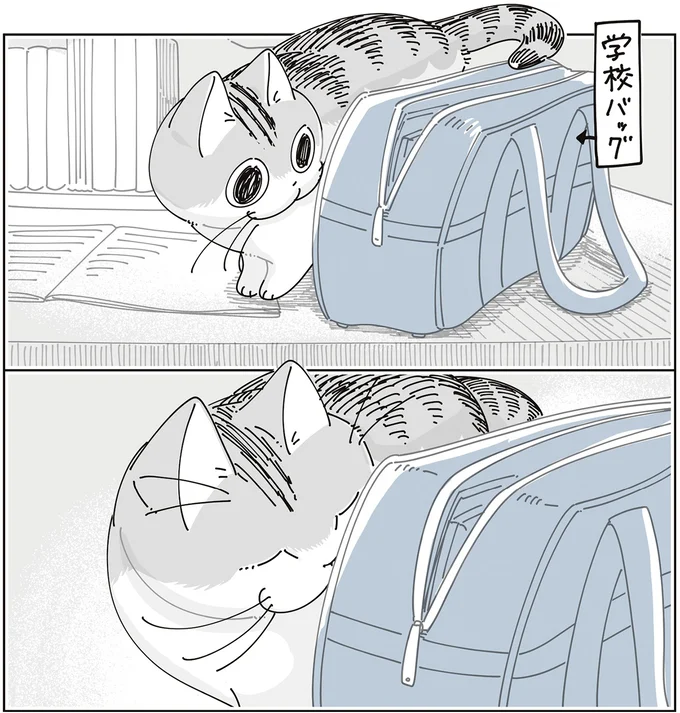 『夜は猫といっしょ9』より