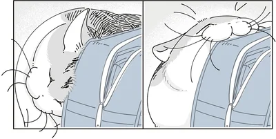 『夜は猫といっしょ9』より