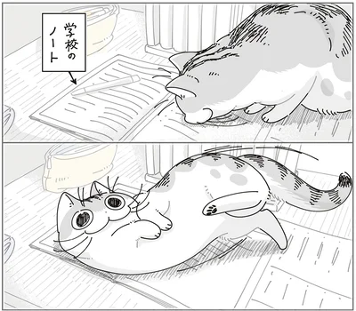 『夜は猫といっしょ9』より