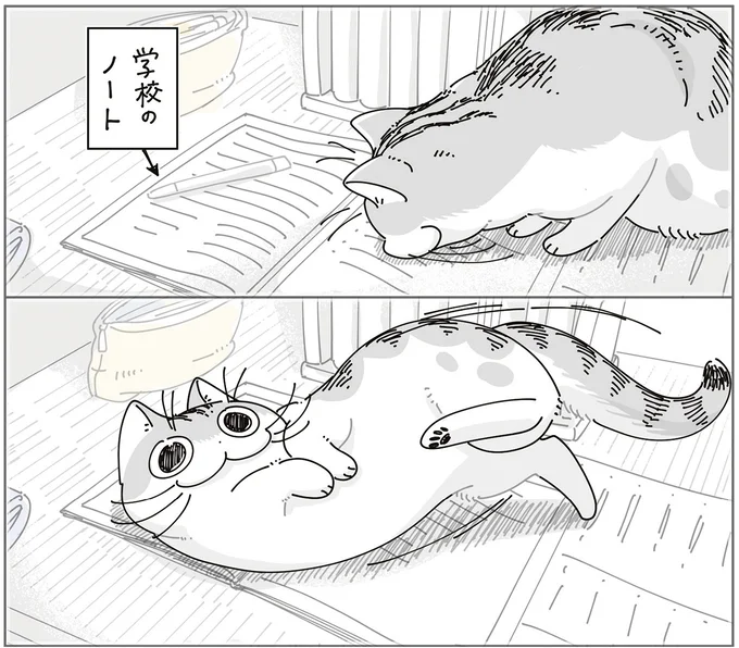 『夜は猫といっしょ9』より