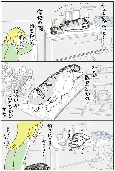 『夜は猫といっしょ9』より