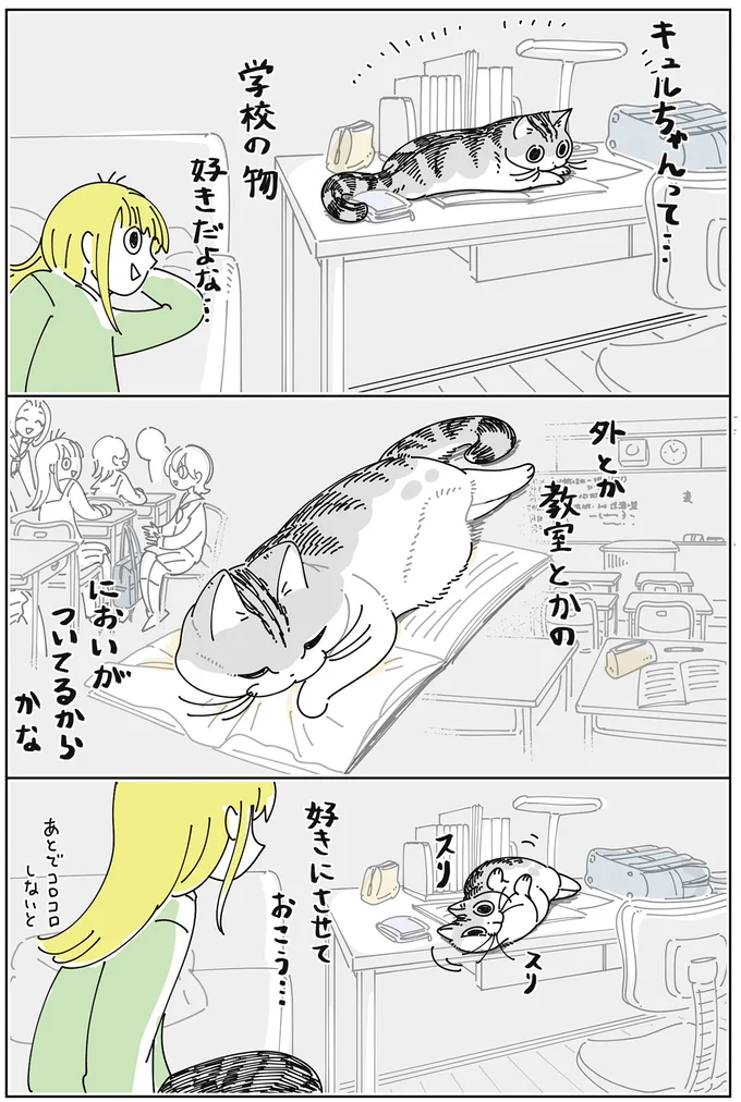 『夜は猫といっしょ9』より