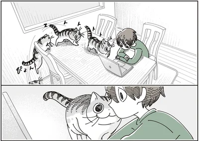『夜は猫といっしょ9』より