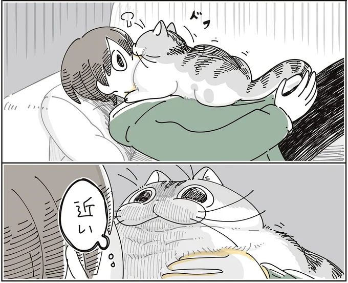 『夜は猫といっしょ9』より