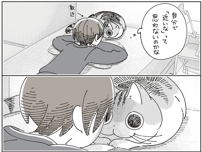 『夜は猫といっしょ9』より
