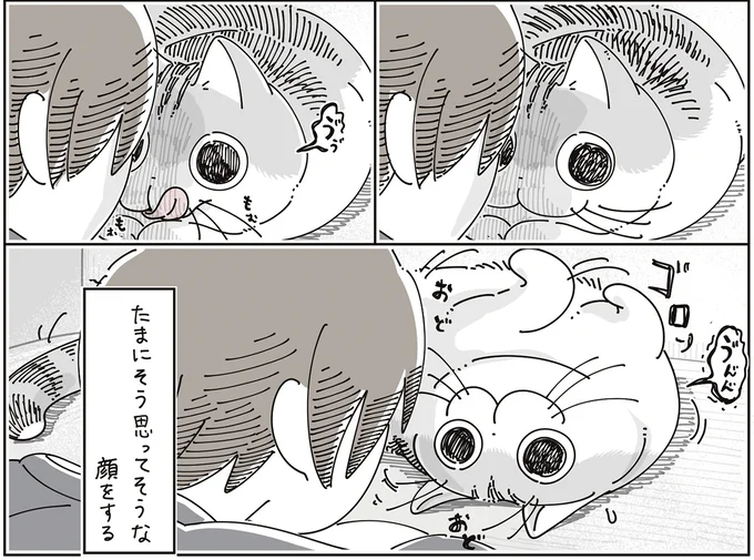 『夜は猫といっしょ9』より
