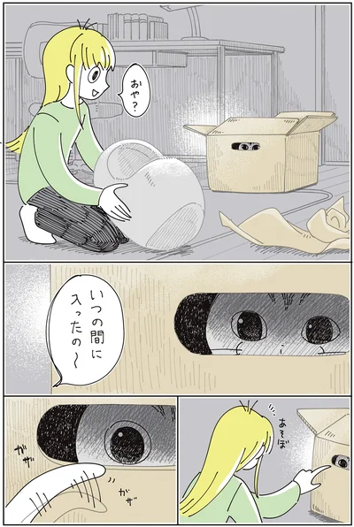 『夜は猫といっしょ9』より