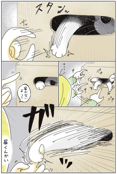 『夜は猫といっしょ9』より
